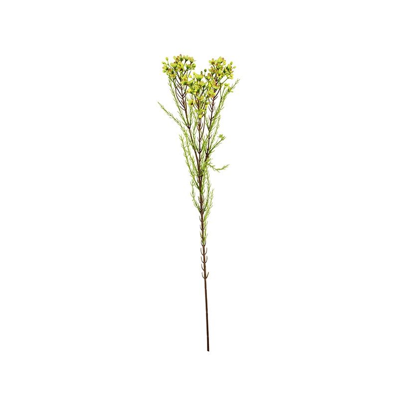 Wax flower spray green 78cm