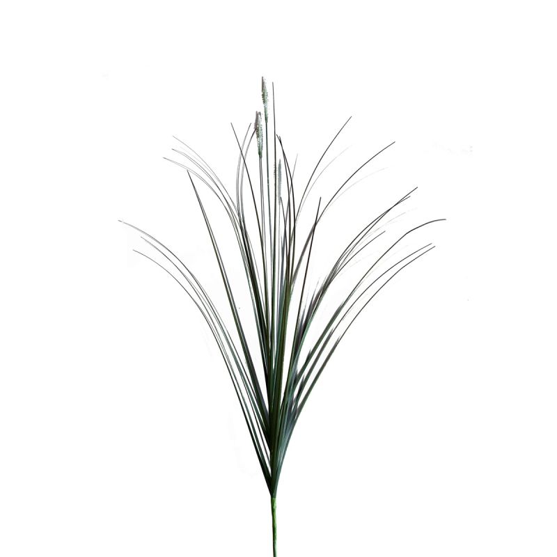 Seed grass spray x3 cream 80cm