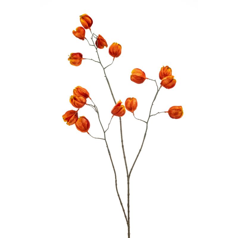 Physalis spray orange 80cm