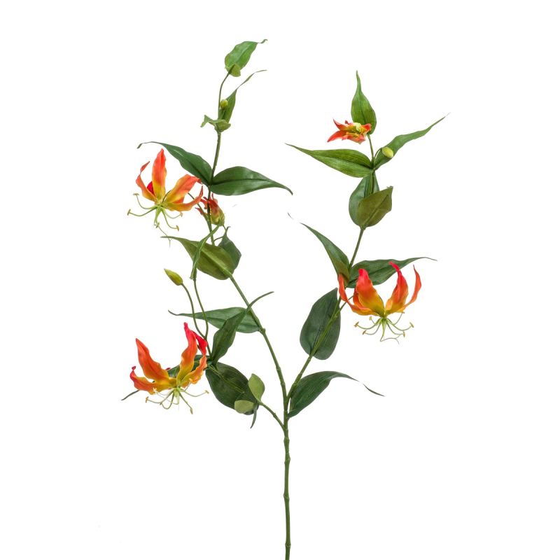 Gloriosa spray orange 120cm