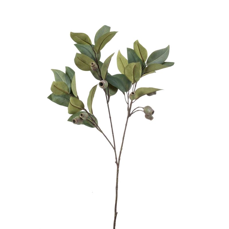 Eucalyptus spray w pods green 80cm