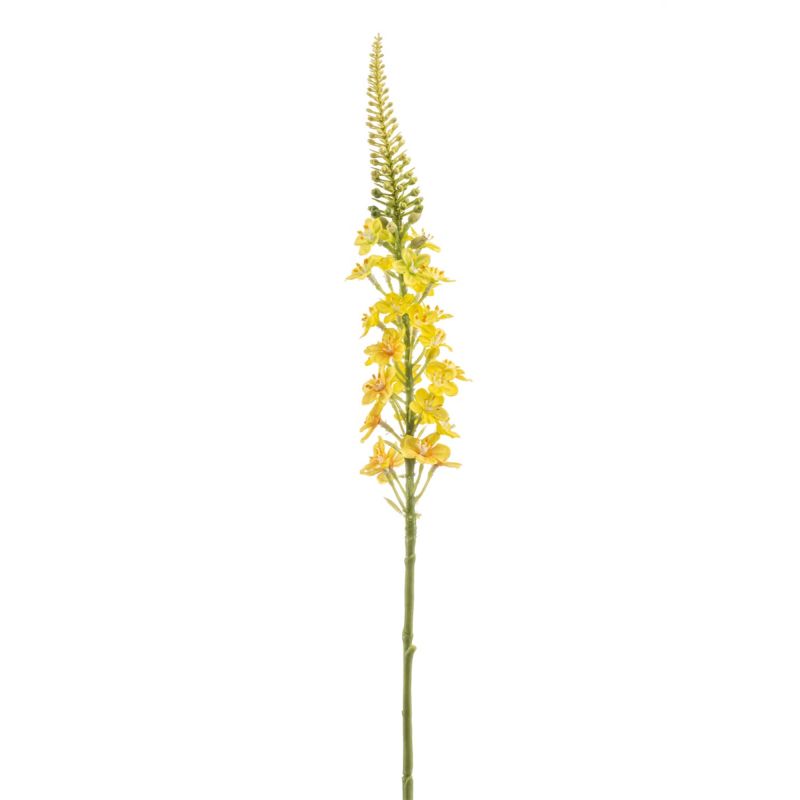 Lysimachia spray yellow 66cm