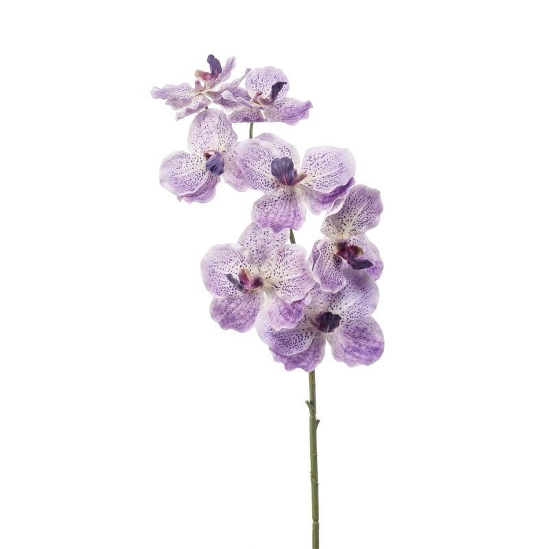 Vanda spray RT lt purple 77cm
