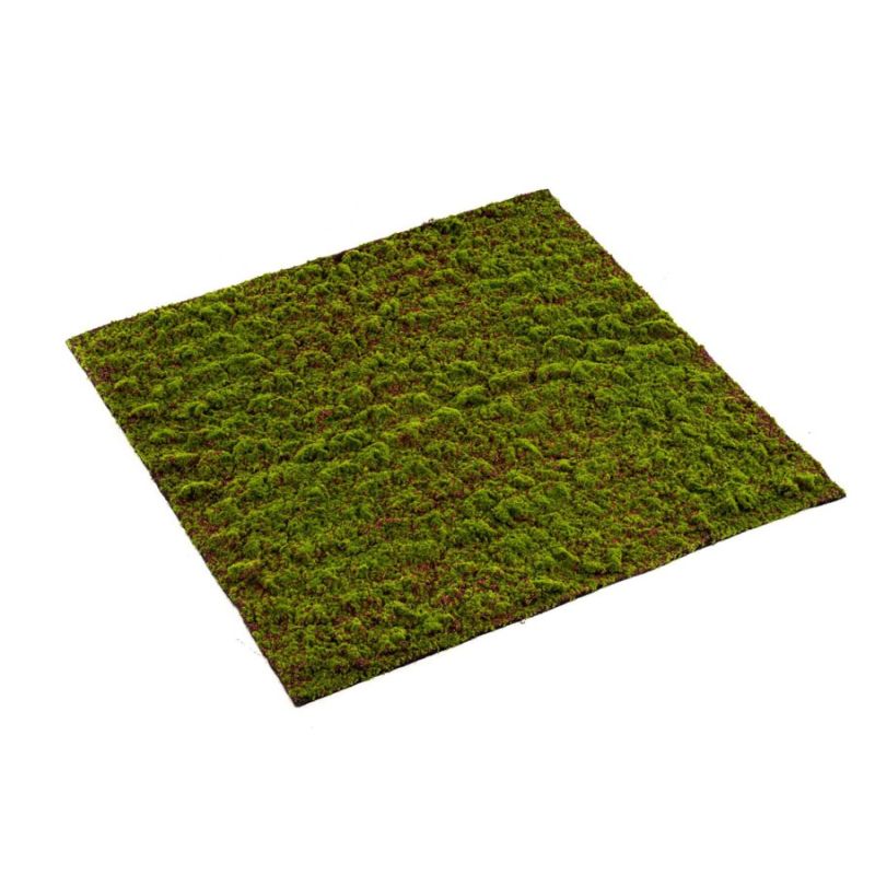 Grimmia moss mat 100x100cm