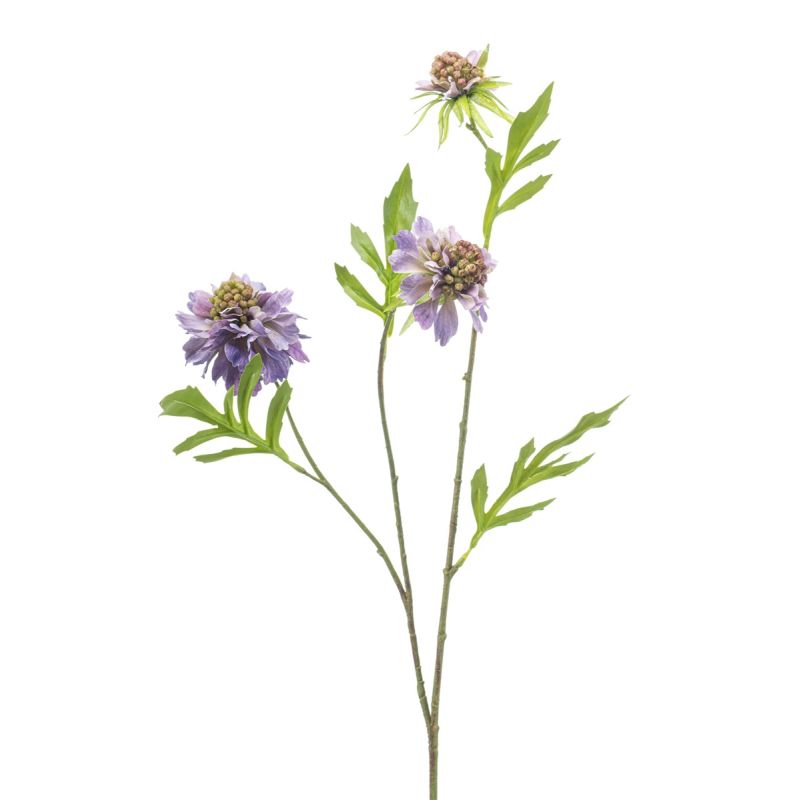 Scabiosa spray x3 purple 62cm