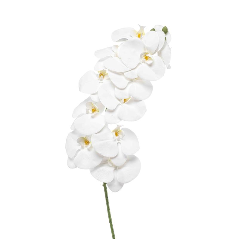 Phalaenopsis spray white 100cm