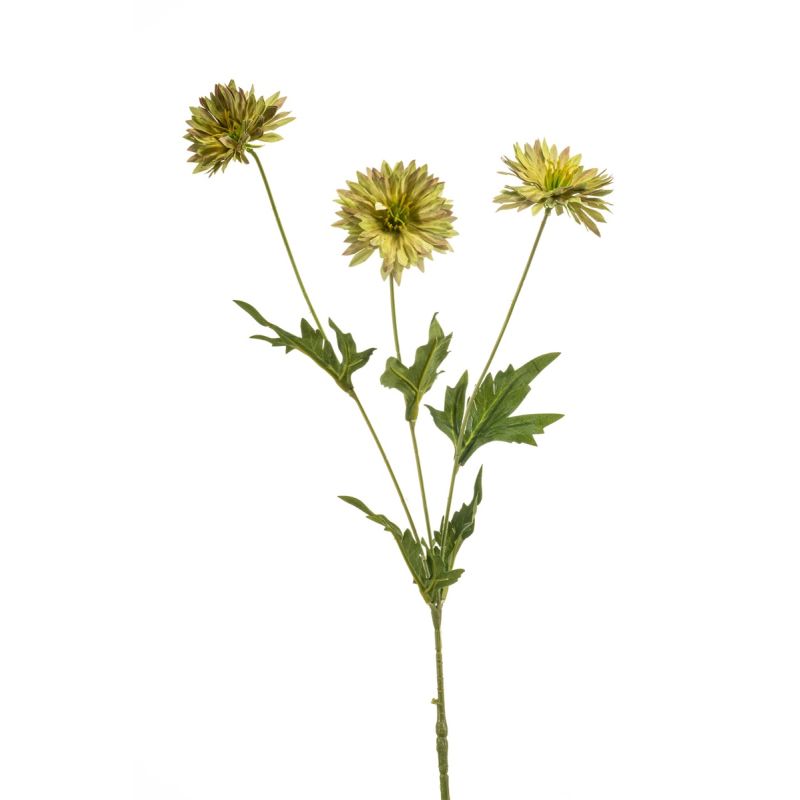 Centaurea spray green 75cm