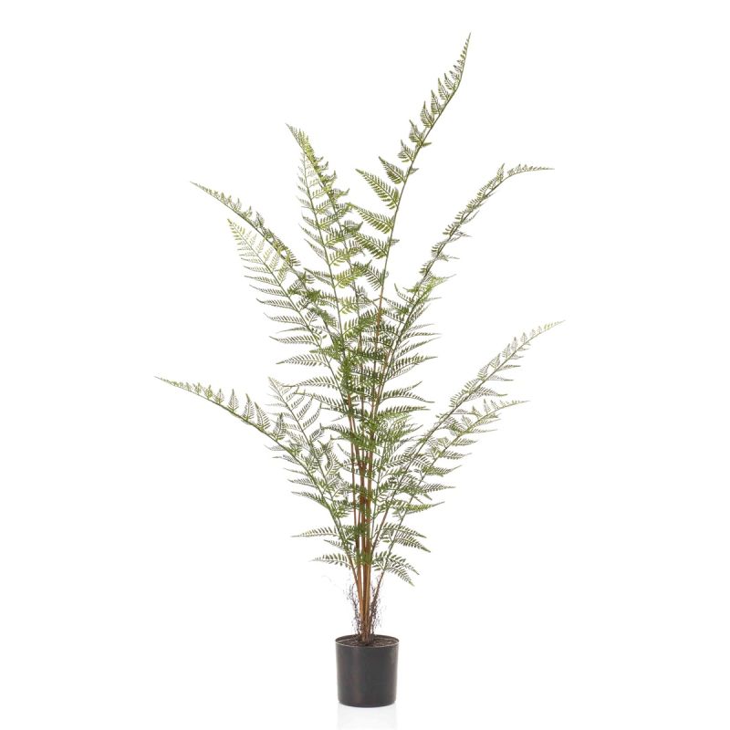 Fern forest plant x13 120cm
