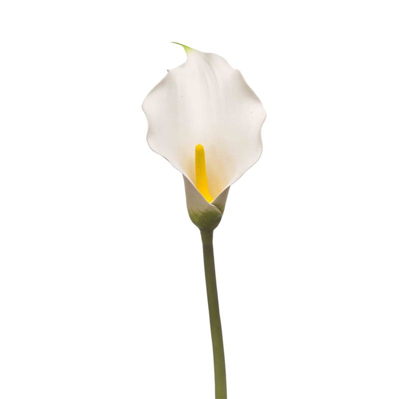 Calla lily spray white 83cm