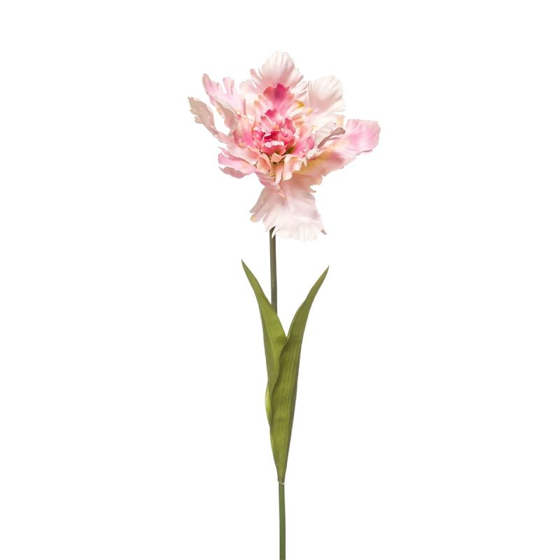 Tulip parrot spray lt pink 68cm
