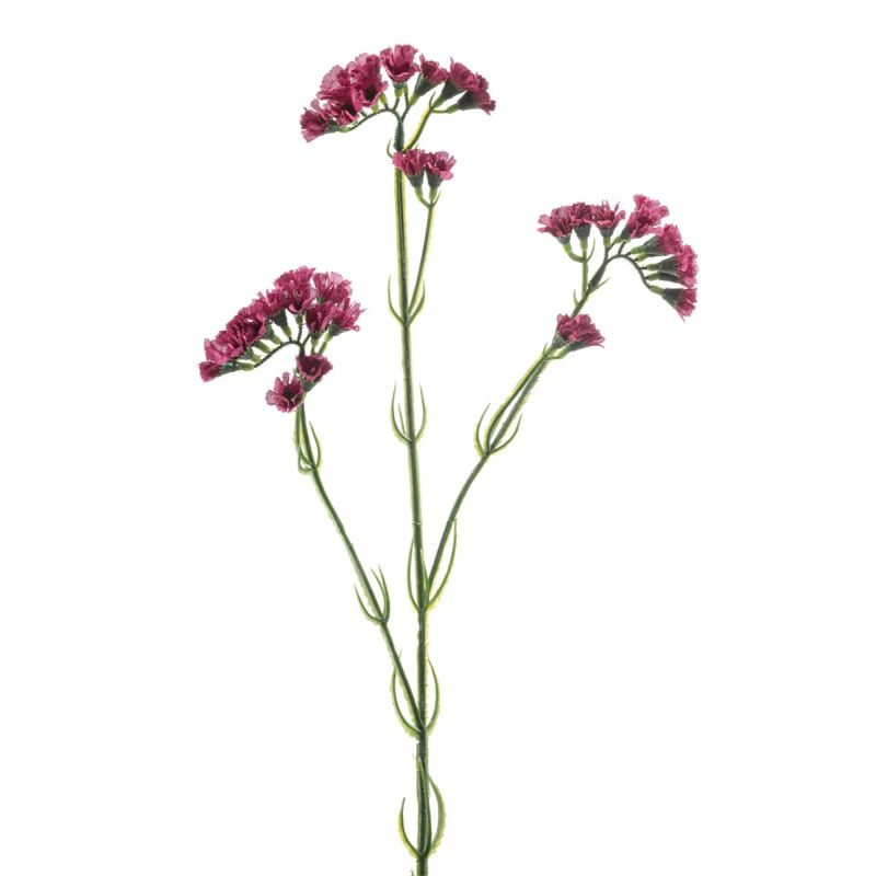 Statice spray fuchsia 62cm