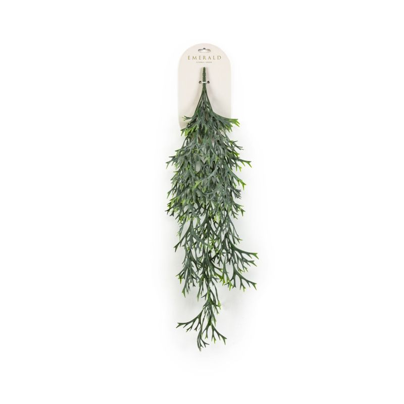 Fern staghorn hanging bush grey 80cm