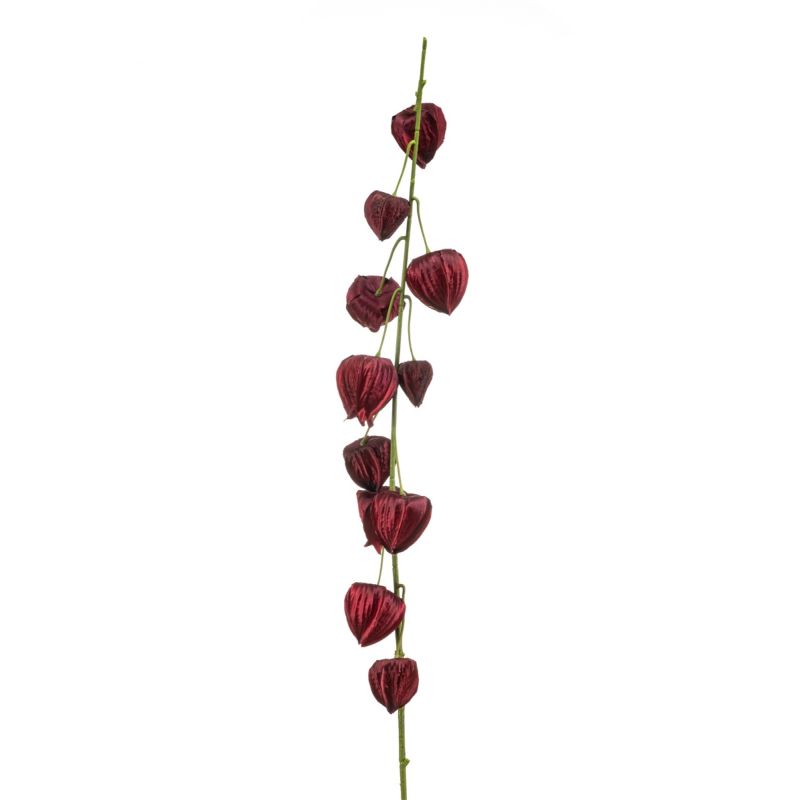 Physalis spray burgundy 97cm