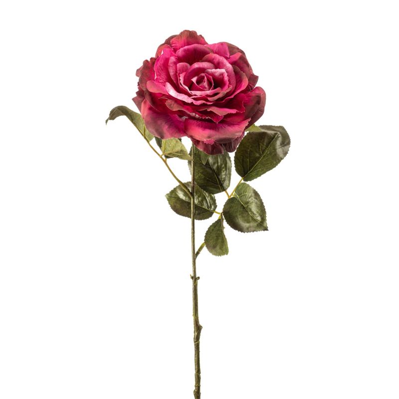 Rose pascal spray beauty 65cm