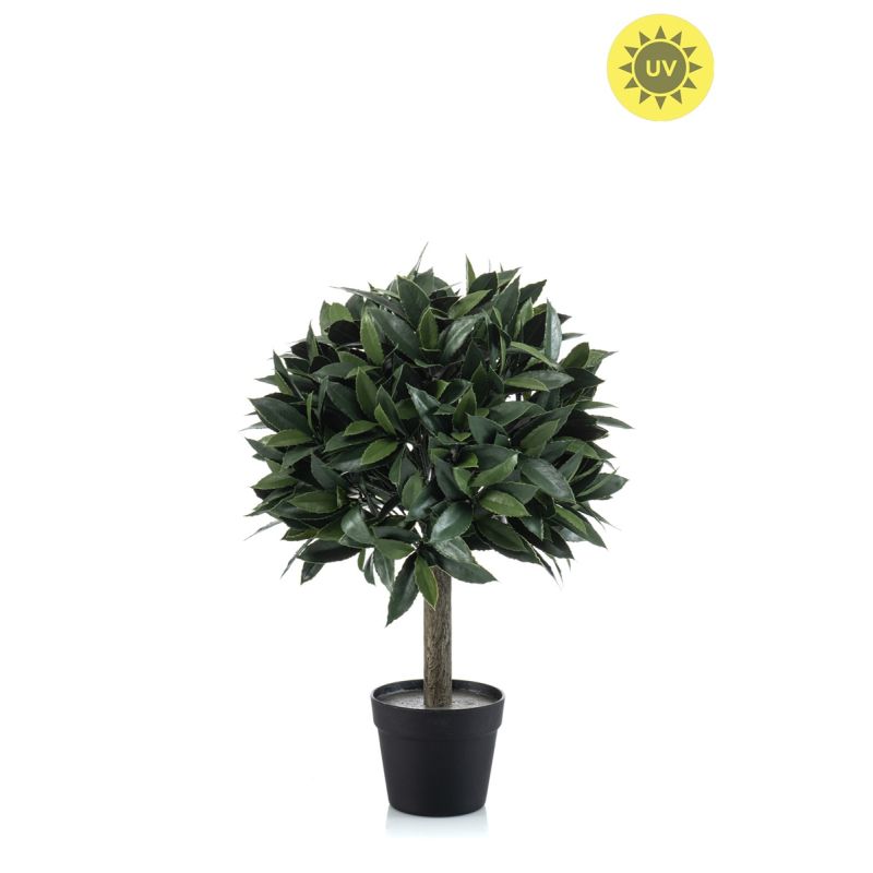 Laurel ball UV in pot 65cm