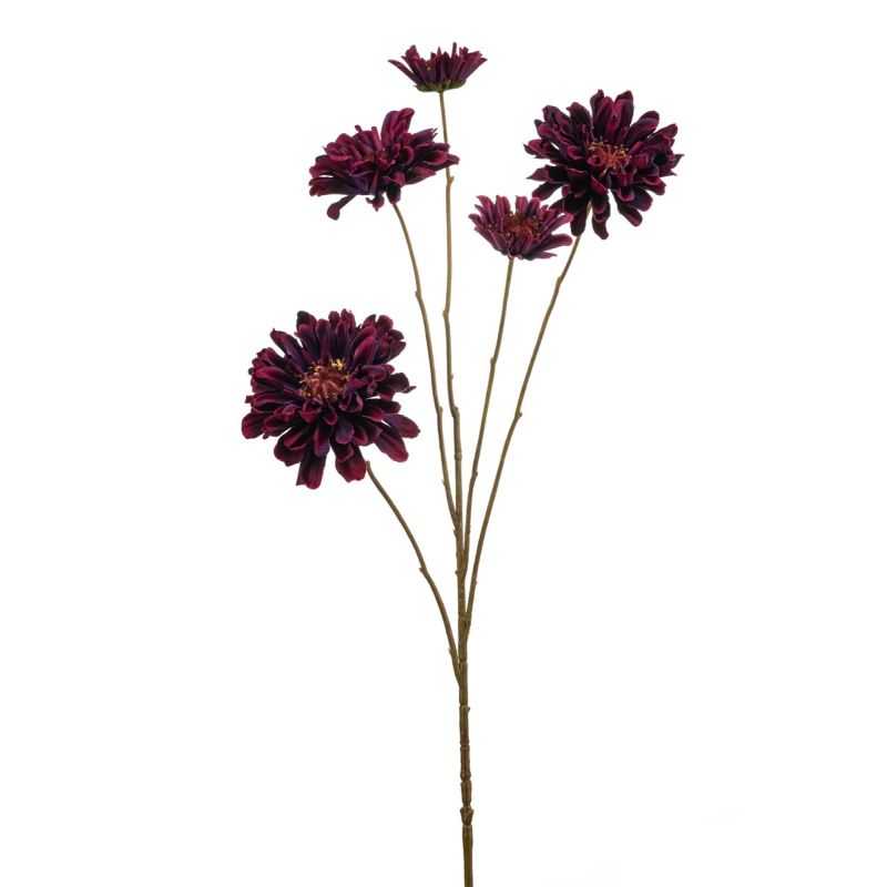 Zinnia spray purple 90cm