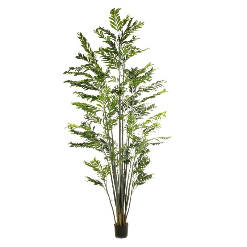 Palm bamboo 300cm (knock down packing)