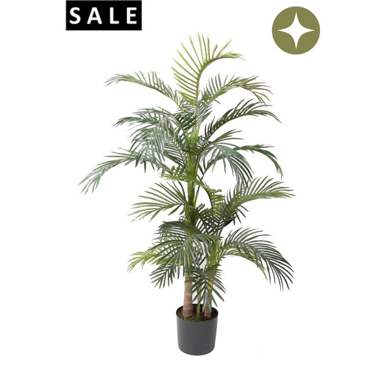 Palm areca 130cm/24lvs