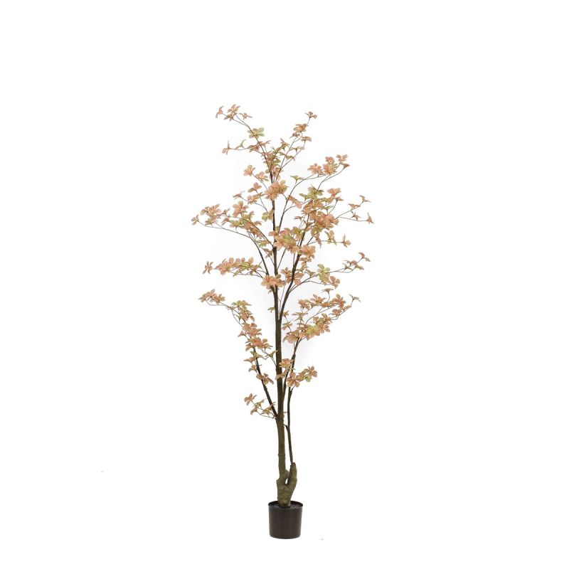 Tropaeolum plant peach/green 185cm (knock down packing)