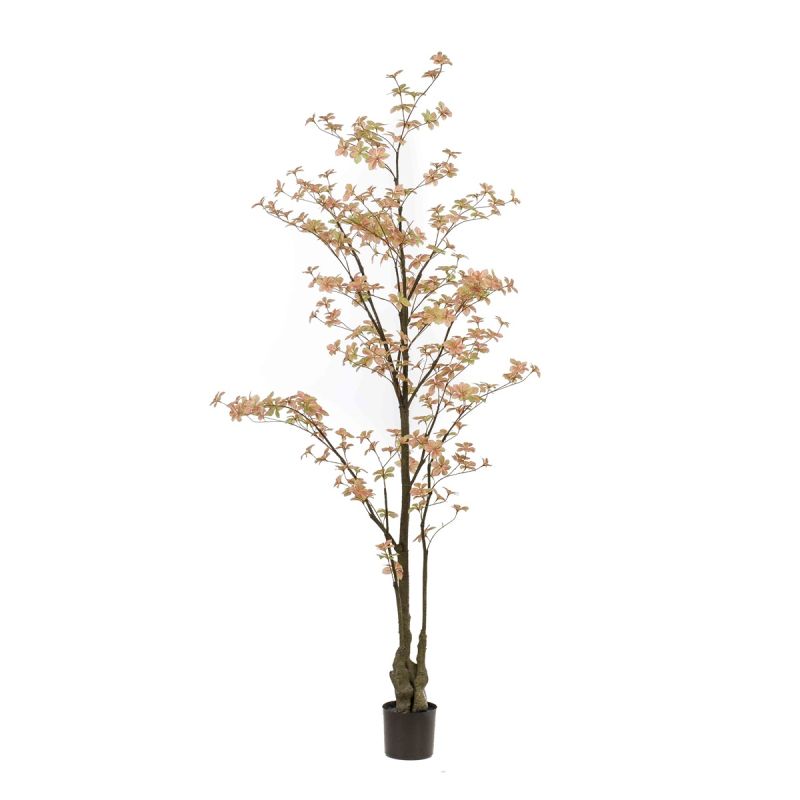 Tropaeolum plant peach/green 210cm (knock down packing)