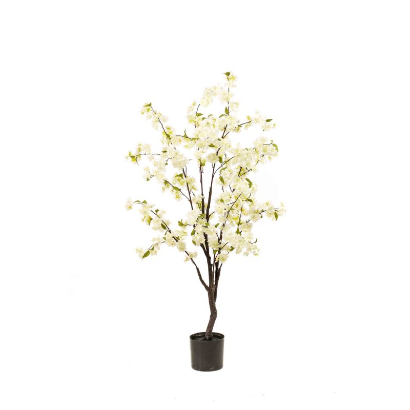 Blossom cherry tree white 135cm