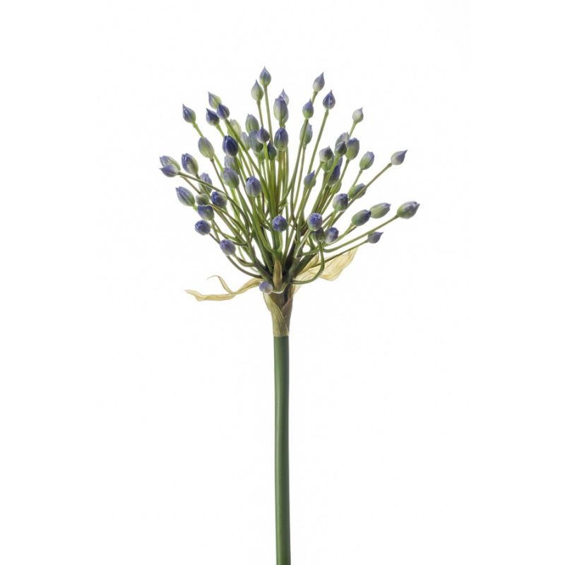 Allium buds spray blue 70cm