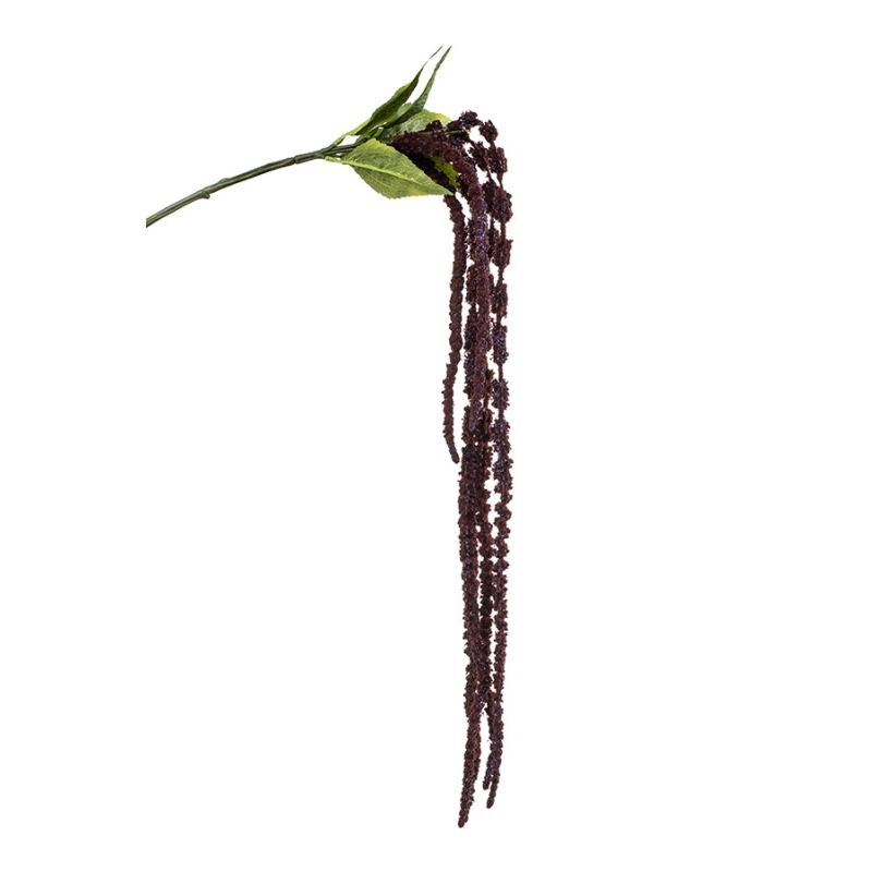 Amaranthus spray burgundy 120cm