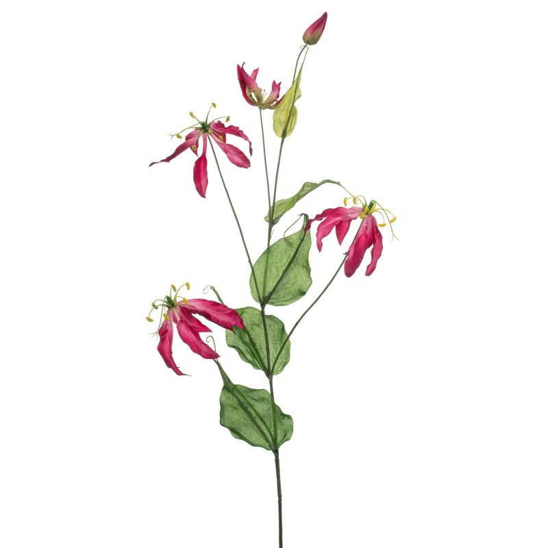 Gloriosa spray fuchsia 105cm