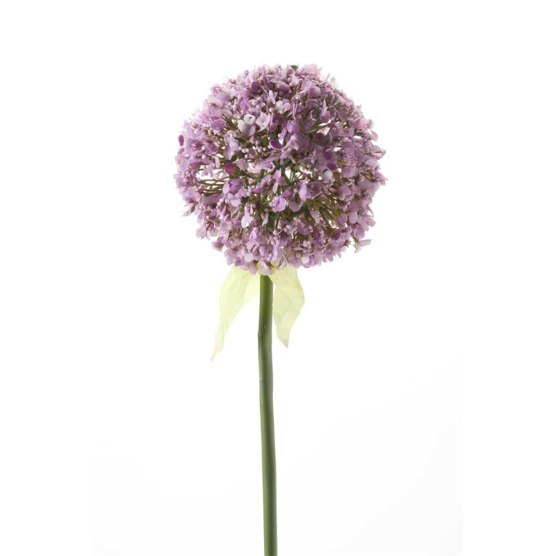 Allium spray lt purple 70cm