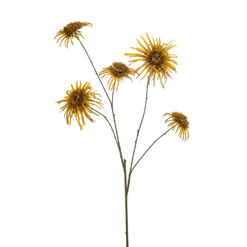 Chrysantum spider spray mustard 110cm