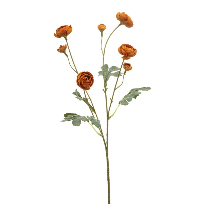 Ranunculus mini spray orange 65cm