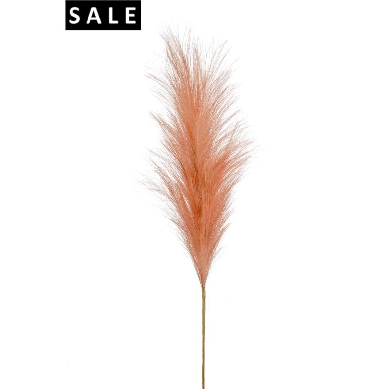 Pampas stem peach 115cm