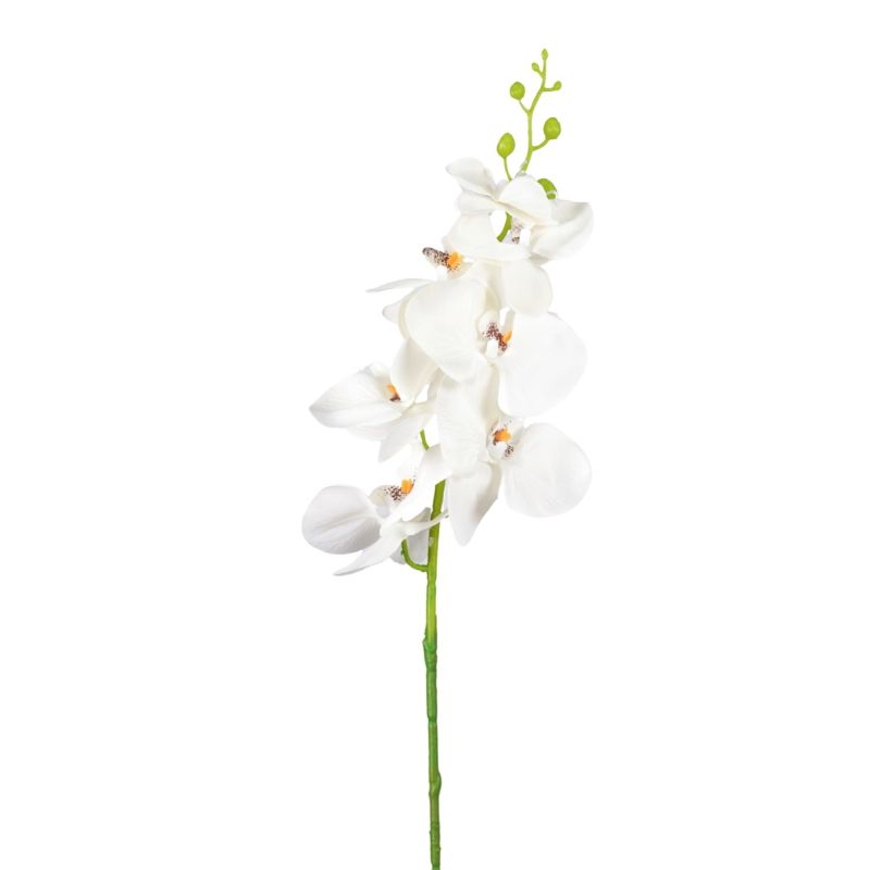 Phalaenopsis spray white/purple 84cm