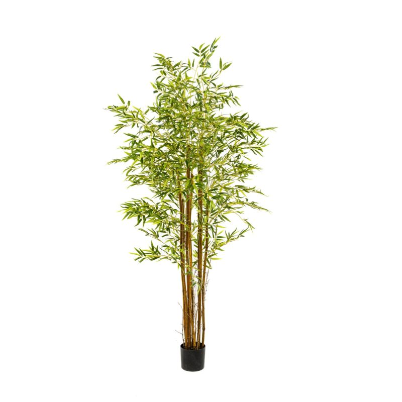 Bamboo japanese x9 180cm