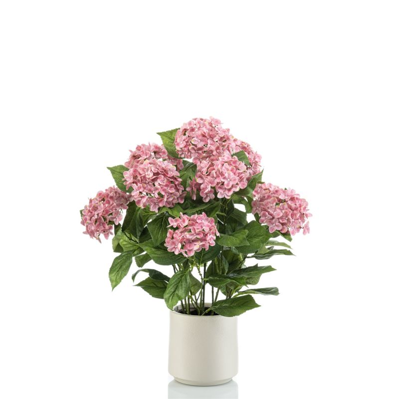 Hydrangea pink in pot 68cm