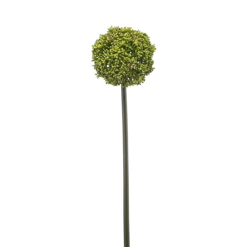 Allium spray green 74cm