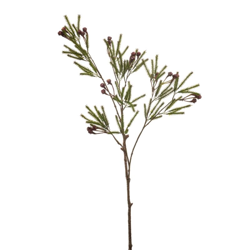 Berzelia spray burgundy 82cm