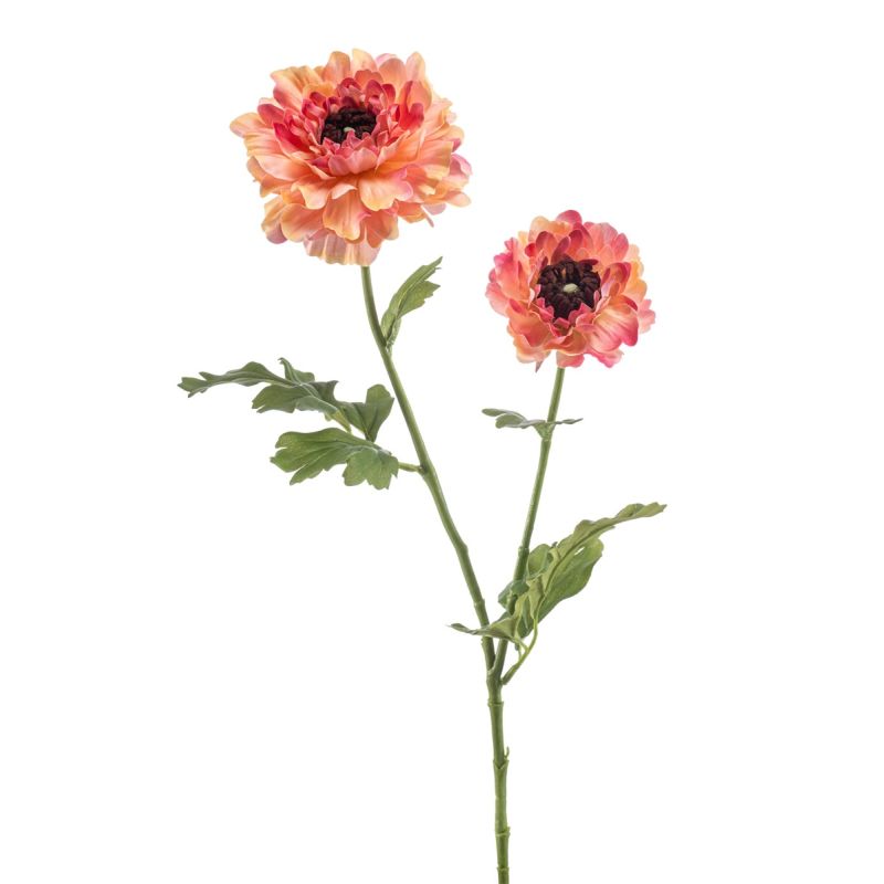 Ranunculus japanese spray peach 65cm
