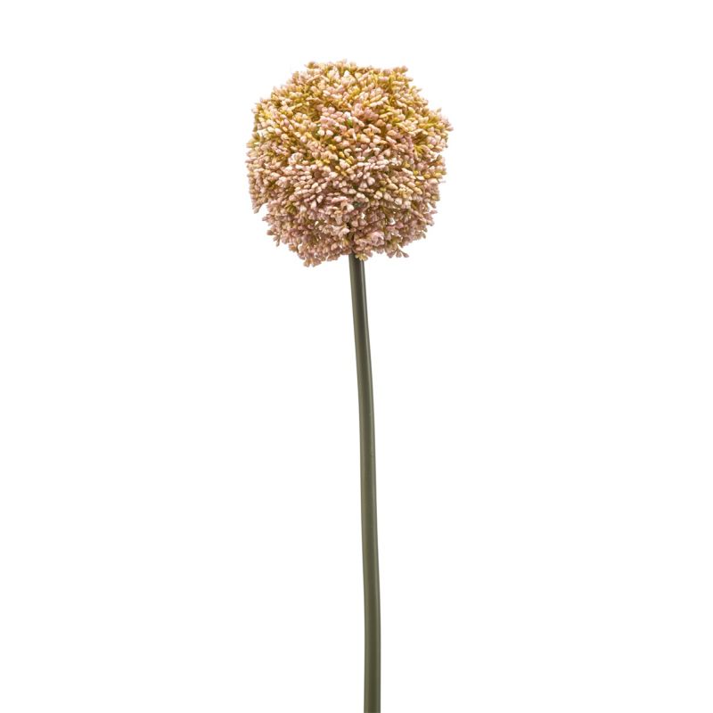 Allium spray peach 74cm