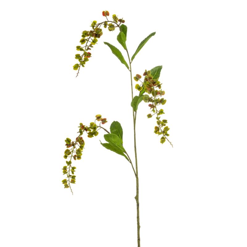 Lepidium spray w lvs green 90cm