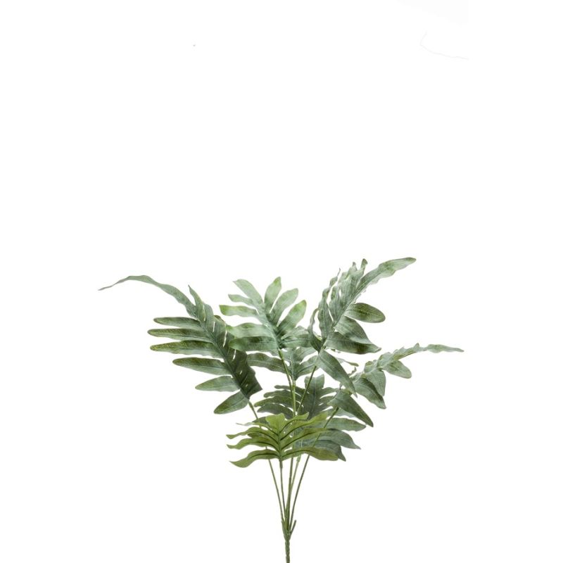 Phlebodium bush grey/green 67cm