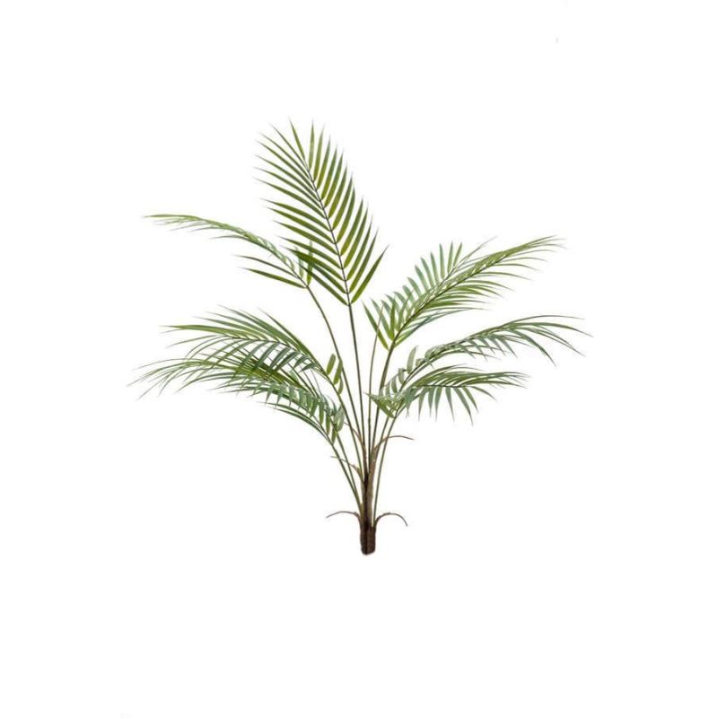 Palm chamaedorea green 85cm