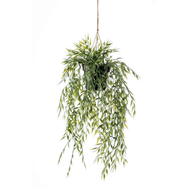 Bamboo hanging in pot 65cm
