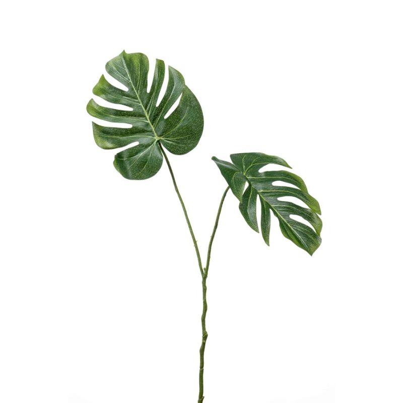 Monstera leaf spray 50cm