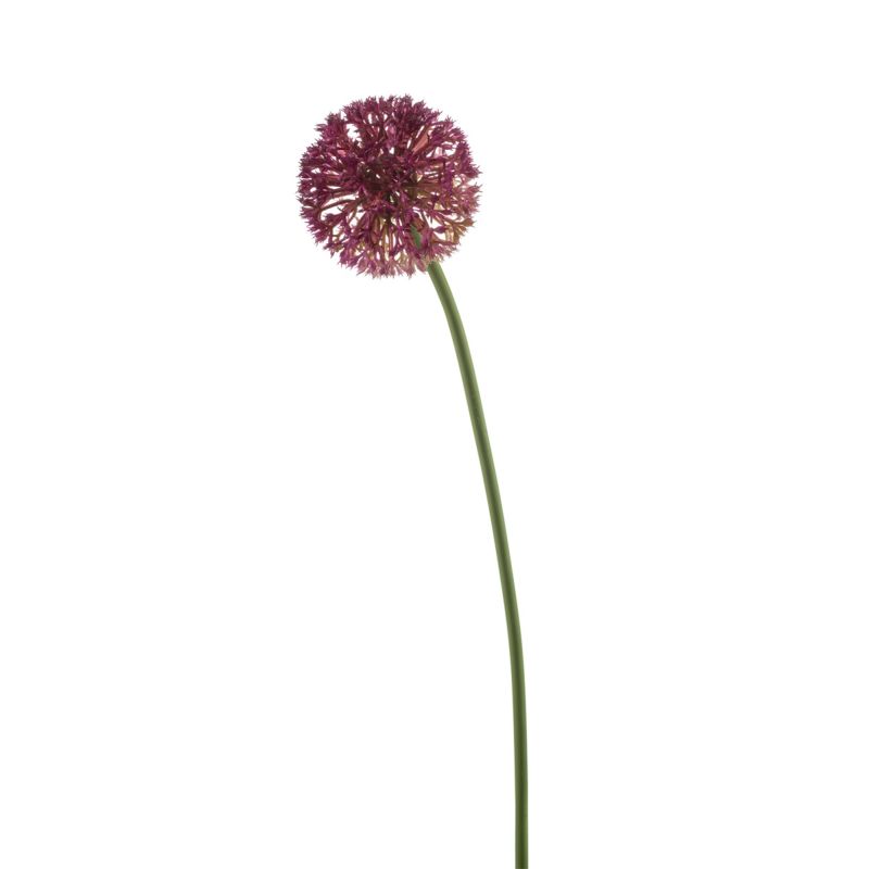 Allium spray fuchsia 60cm