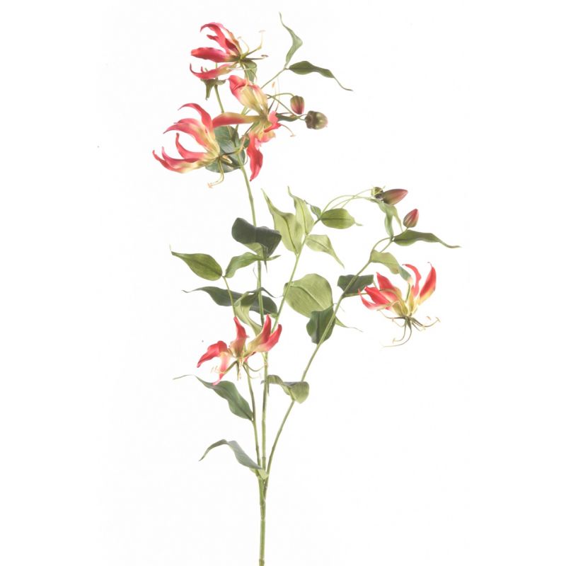 Gloriosa spray fuchsia 120cm