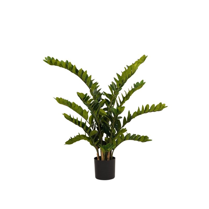 Zamioculcas plant 130cm