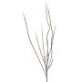 Twig spray brown 135cm