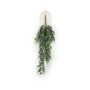 Eucalyptus hanging bush 75cm