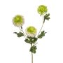 Scabiosa spray RT white 78cm